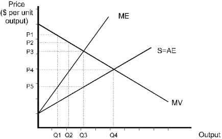   Figure 10.3 The marginal value curve and expenditure curves in the diagram above are those of a monopsony. -Refer to Figure 10.3. What price will the monopsonist pay when maximizing profit? A)  P1 B)  P2 C)  P3 D)  P4 E)  P5