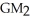 Balance Sheet for year-ended Dec 31 ($000's)     -Blockbuster Inc. Income Statement for year-ended Dec 31 ($000's)    Referring to the Blockbuster financial statements,what is the change in Gross Margin from Year 1 to Year 2? (ΔGM =   -   )  A)  -7.54% B)  -5.96% C)  -2.28% D)  5.96% E)  7.54%