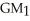 Balance Sheet for year-ended Dec 31 ($000's)     -Blockbuster Inc. Income Statement for year-ended Dec 31 ($000's)    Referring to the Blockbuster financial statements,what is the change in Gross Margin from Year 1 to Year 2? (ΔGM =   -   )  A)  -7.54% B)  -5.96% C)  -2.28% D)  5.96% E)  7.54%