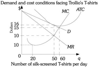 Refer to the information provided in Figure 15.6 below to answer the question(s)  that follow.   Figure 15.6 -Refer to Figure 15.6. If Trollio's T-shirts is in long-run equilibrium, it is producing ________ silk-screened T-shirts and selling each T-shirt at a price of ________. A)  20; $5 B)  50; $10 C)  50; $16 D)  60; $15