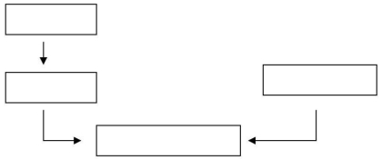 The text discussed four elements of cognition: concepts,mental images,cognitive schemas,and propositions.In the diagram below,fill in the appropriate labels to create a visual summary of the elements of cognition.   
