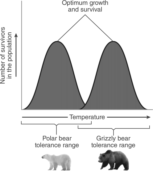   -All of the following are physical limiting factors affecting survival and growth of an organism except . A)  temperature B)  salinity C)  predation D)  sunlight