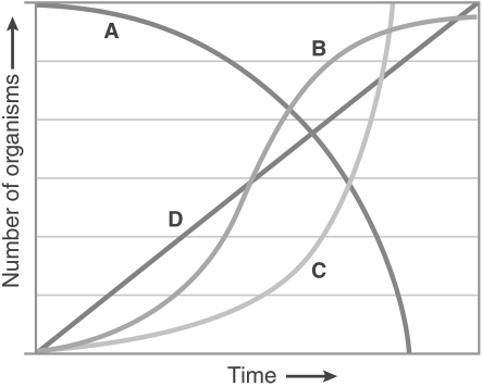 <strong>  Which of these lines depicts a population with a constant growth rate?</strong> A) A B) B C) C D) D <div style=padding-top: 35px> 