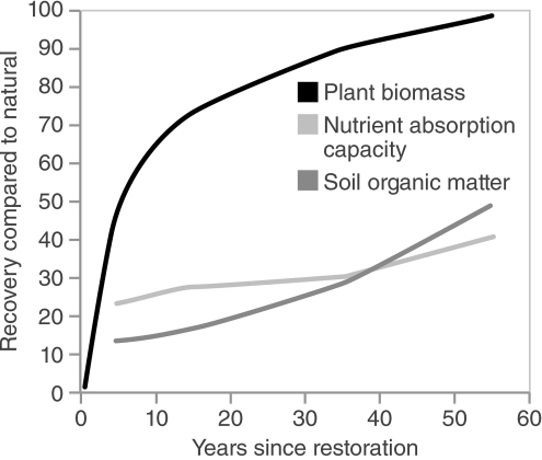   -Which of the following conclusions can be drawn from this graph depicting recovery after wetland restoration? A)  Soil organic matter and nutrient absorption are much easier to accomplish than improvements in biomass. B)  Soils are more important to wetland restoration than are plants. C)  It takes 10 to 20 years after wetland restoration for a wetland to be fully functional. D)  Plant biomass recovers relatively rapidly in restored wetlands.