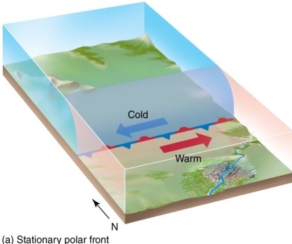 According to the polar front theory,the stationary front   A) will change into cold and warm fronts. B) will change into a cold front. C) will change into a warm front. D) will persist until the cyclone dissipates.