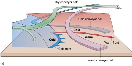 The gap over Wisconsin separating the major cloud regions is a result of the     A) cold conveyor belt. B) dry conveyor belt. C) warm conveyor belt. D) occluded front.
