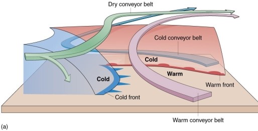 The ________ is responsible for the large band of cloud cover extending from the northern Gulf of Mexico to the northeastern US.     A) cold conveyor belt B) dry conveyor belt C) warm conveyor belt D) occluded front