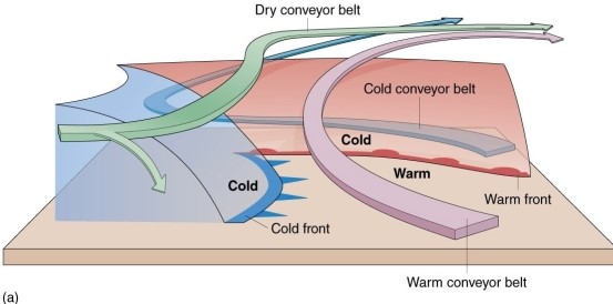 According to the conveyor belt model of midlatitude cyclones,   A) adiabatic temperature changes are very important. B) adiabatic temperature changes are unimportant. C) absorption of shortwave radiation by aerosols is very important. D) absorption of shortwave radiation by aerosols is more important than storm rotation.