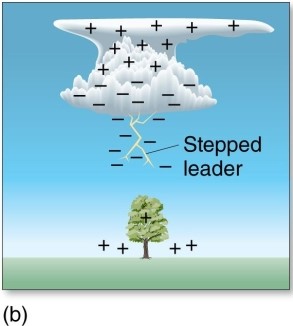 The stepped-leader   A) moves downward in one continuous movement. B) occurs after the formation of the return stroke. C) creates the pathway for the flow of electrons. D) has no similarities to a dart leader.