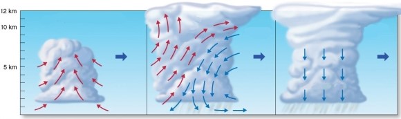 Describe the characteristics of these successive stages of air mass thunderstorm formation and dissipation.
