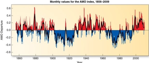 The Atlantic Multidecadal Oscillation (AMO) ,a measure of north Atlantic Ocean water temperatures,is thought to be related to the frequency of tropical storms and hurricanes in the region because   A) cool land temperatures are a requirement for tropical storm formation. B) warm land temperatures are a requirement for tropical storm formation. C) cool surface waters are a requirement for tropical storm formation. D) warm surface waters are a requirement for tropical storm formation.