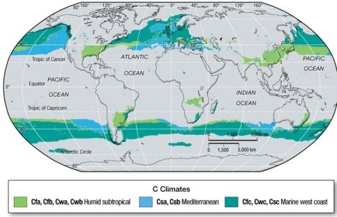 The highlighted areas have   A) mild midlatitude climates. B) desert climates. C) Mediterranean climates. D) polar climates.