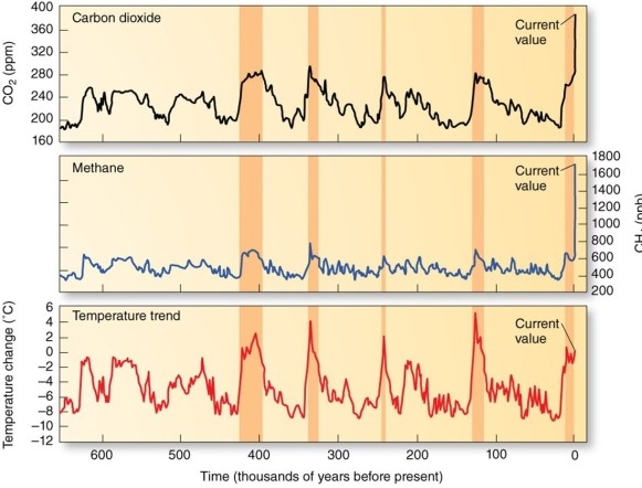 This data record from ice cores shows   A) increased temperatures have frequently been associated with elevated methane and carbon dioxide concentrations. B) lower temperatures have frequently been associated with elevated methane and carbon dioxide concentrations. C) increased temperatures have frequently been associated with reduced methane and carbon dioxide concentrations.