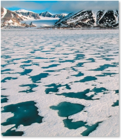 The ice-albedo feedback is based on   A) the relationship between albedo and insolation absorbed by the surface. B) the relationship between albedo and the ITCZ. C) the relationship between albedo and sulfate aerosols. D) the relationship between albedo and sea level.