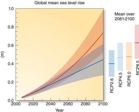 Warmer ocean temperatures results in increasing sea level because   A) storm surges make the water warmer. B) the saturated adiabatic lapse rate is less than the dry adiabatic lapse rate. C) water expands with increasing temperatures. D) water expands with decreasing temperatures.