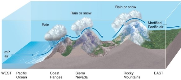<strong>After passing over a series of mountain ranges,maritime polar air becomes </strong> A)warmer. B)colder. C)more moist. D)drier.