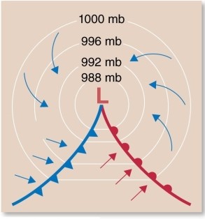 The front on the left is a   A) warm front. B) cold front. C) stationary front. D) occluded front.