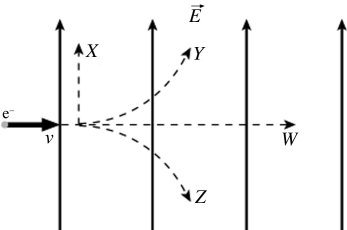 An electron is initially moving to the right when it enters a uniform electric field directed upwards. Which trajectory shown below will the electron follow?   A)  trajectory W B)  trajectory X C)  trajectory Y D)  trajectory Z