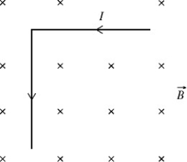An L-shaped metal machine part is made of two equal-length segments that are perpendicular to each other and carry a 4.50-A current as shown in the figure. This part has a total mass of 3.80 kg and a total length of 3.00 m, and it is in an external 1.20-T magnetic field that is oriented perpendicular to the plane of the part, as shown. What is the magnitude of the NET magnetic force that the field exerts on the part?   A)  8.10 N B)  11.5 N C)  16.2 N D)  22.9 N E)  32.4 N