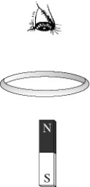 A bar magnet is held vertically with its upper end a little bit below the center of a horizontal metal ring. The upper end of the magnet is its north pole, as shown in the figure. The bar magnet is now dropped. An observer views the ring from above its center. To this observer, how will the induced current in the ring behave as the magnet falls?   A)  The current will flow clockwise and be increasing. B)  The current will flow clockwise and be decreasing. C)  The current will flow counter-clockwise and be increasing. D)  The current will flow counter-clockwise and be decreasing. E)  The induced current will be zero.