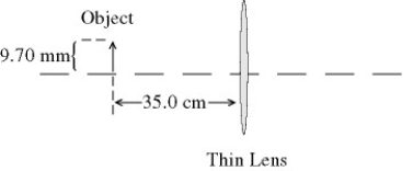 In the figure, the image is viewed on a screen and is 13.5 mm tall. What is the focal length of the lens?   A)  +14.6 cm B)  -14.6 cm C)  +20.4 cm D)  -89.3 cm E)  +124 cm