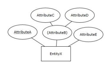 Attribute B of EntityX is a:   A) Composite attribute B) Multivalued attribute C) Derived attribute D) Unique composite attribute