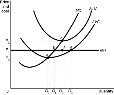 Figure 12-13   -Refer to Figure 12-13.Suppose the prevailing price is P1 and the firm is currently producing its loss-minimizing quantity.If the firm represented in the diagram continues to stay in business,in the long-run equilibrium A) it will reduce its output to Q0 and face a price of P0. B) it will continue to produce Q1 but faces the higher price of P2. C) it will expand its output to Q2 and face a price of P2. D) it will expand its output to Q3 and face a price of P1.