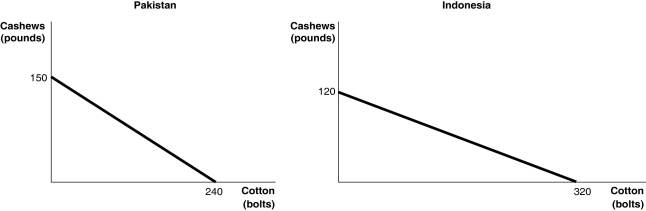   Figure 2-11 shows the production possibilities frontiers for Pakistan and Indonesia.Each country produces two goods,cotton and cashews. -Refer to Figure 2-11.If the two countries have the same amount of resources and the same technological knowledge,which country has an absolute advantage in the production of cotton? A) Indonesia B) They have the same advantage. C) Pakistan D) cannot be determined