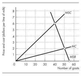 Use the figure below to answer the following questions.     Figure 17.3.2 -Figure 17.3.2 shows the marginal private cost curve, marginal social cost curve, and marginal social benefit curve for raising goats on a common pasture. The equilibrium in an unregulated market is A) 0 goats. B) 40 goats. C) 50 goats. D) 55 goats. E) 35 goats.