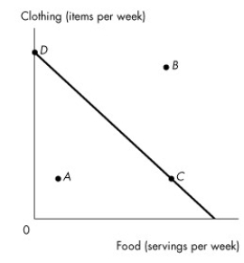 Use the figure below to answer the following questions.     Figure 9.1.1 -Shelly's budget line is shown in Figure 9.1.1 Which point is unaffordable given her income and current prices? A) A and B B) B only C) C only D) C and D only E) All points are unattainable.