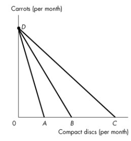 Use the figure below to answer the following questions.     Figure 9.1.2 -Refer to Figure 9.1.2. Which budget line shows the greatest real income in terms of compact discs? A) AD B) BD C) CD D) Real income is equal for all three budget lines. E) Cannot be determined without studying the indifference curves.