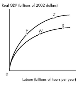 Figure 22.3.1    -Refer to Figure 22.3.1. The country of Kemper is on its aggregate production function at point W in the above figure. If the population increases with no change in capital or technology, the economy will A) move to point such as Y. B) remain at point W. C) move to point such as X. D) move to point such as Z. E) either remain at point W or move to point X.