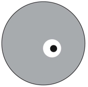   Figure represents a Petri plate.The gray area is where bacteria A is growing,the black area is where bacteria B is growing.The white area is a zone where neither organism is growing.What is the best interpretation of what is observed on the plate? A)  Bacteria B is producing an antibiotic that inhibits the growth of bacteria A. B)  Bacteria A produces a compound that inhibits the growth of bacteria B. C)  Bacteria A grows faster than bacteria B. D)  Bacterial colony B has depleted the nutrients in the area around the colony. E)  No conclusion can be made from this information.