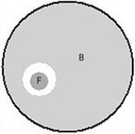   Figure represents a Petri dish with a fungus (F) ,shown in darker gray,growing in the midst of bacterial lawn (B) ,shown in light gray.The relationship between the fungus and the bacteria would best be described A)  synergistic. B)  amensal. C)  commensal. D)  parasitic. E)  None, there is no relationship between the microbes.