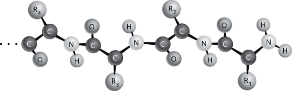    Figure depicts the (primary/secondary/tertiary)structure of a protein.