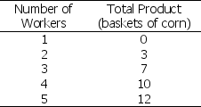 <strong>Use the table below to answer the following question. Table 11.2.4   Refer to Table 11.2.4.The table gives the total product schedule of workers who harvest corn.Diminishing marginal returns begin when the ________ is hired.</strong> A)1st labourer B)2nd labourer C)3rd labourer D)4th labourer E)There are no diminishing marginal returns since total product always rises. <div style=padding-top: 35px> 