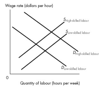 Use the figure below to answer the following questions.     Figure 19.3.1 -Refer to Figure 19.3.1.At the equilibrium wage rates, A) more high-skilled workers will be hired than low-skilled workers. B) more low-skilled workers will be hired than high-skilled workers. C) the horizontal distance between the two demand curves is the compensation for the cost of acquiring human capital. D) the horizontal distance between the two supply curves is the value of marginal product of skill. E) value of marginal product is maximized.