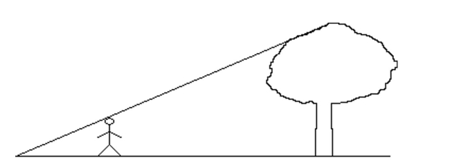 Solve the problem. -Hye-Ran, who is 1.60 m tall, wishes to find the height of a tree with a shadow 30.06 m long. She Walks 21.65 m from the base of the tree along the shadow of the tree until her head is in a position Where the tip of her shadow exactly overlaps the end of the tree topʹs shadow. How tall is the tree? Round to the nearest hundredth.   A)  2.22 m B)  1.60 m C)  5.72 m D)  2.75 m