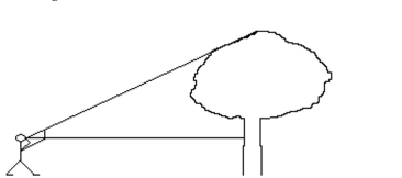 Solve the problem. -To find the height of this tree, Luis marked the tree at eye level, 1.8 meters above the ground. He Measured 35 m from the base of the tree and then held a 5-cm ruler vertically in front of his eye Until the ruler just obscured the tree above the mark. Using a string tied through a hole in one end Of the ruler, Luis found that the distance from his eye to the ruler was 5.1 centimeters. What was The height of the tree? Round to the nearest meter.   A)  30 m B) 36 m C) 34m D) 40 m