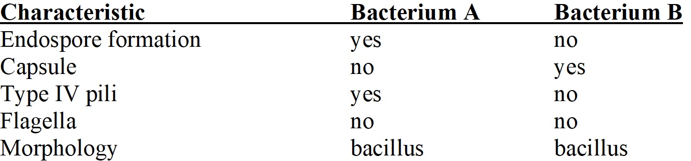 <strong>Based on the table of attributes given below, which of the following statements are FALSE about the two organisms? </strong> A) Bacterium A is more resistant to heat and ultraviolet light. B) Bacterium B likely forms a slime layer better than Bacterium A. C) Bacterium B is likely to exhibit motility. D) Both bacteria may attach to surfaces.