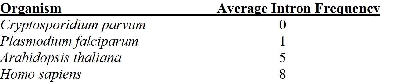 <strong>Based on the table of average intron frequency given below, predict the relative order of genome size for these four eukaryotic organisms.  </strong> A) Homo sapiens > Arabidopsis thaliana > Plasmodium falciparum > Cryptosporidium parvum B) Cryptosporidium parvum > Plasmodium falciparum > Arabidopsis thaliana > Homo sapiens C) Homo sapiens > Cryptosporidium parvum > Plasmodium falciparum > Arabidopsis thaliana D) Intron frequency cannot be used to predict genome size in eukaryotes. <div style=padding-top: 35px> 