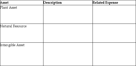 For each of the following assets,provide a description and state the related expense.   