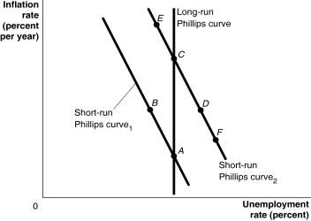Figure 13.11   Alt text for Figure 13.11: In figure 13.11,a graph shows the short-run and long-run Phillips curves. Long description for Figure 13.11: The x-axis is labelled,unemployment rate percent,and the y-axis is labelled,inflation rate percent per year.A straight line labelled,short-run Philips Curve 1,begins at the top left corner and slopes down to the bottom center.A straight line labelled,short-run Philips Curve 2,follows the same slope as Curve 1,but is plotted to the right.A straight line labelled,long-run Philips Curve,is perpendicular to the x-axis,and intersects the short-run Philips Curve 1 at point A near the bottom end of both lines.Point B is plotted half way along the short-run Philips Curve 1.Long-run Philips Curve intersects short-run Philips Curve 2 at point C near the top half of the curves.Point D is plotted more than half way along the short-run Philips Curve 2.Points E and F are plotted close to the left and right ends,respectively,of the short-run Philips Curve 2. -Refer to Figure 13.11.A follower of the new classical macroeconomics would argue that ________,like that pursued by the Bank of Canada in 1979,would result in a movement from C to A. A) expansionary monetary policy B) contractionary monetary policy C) expansionary fiscal policy D) contractionary fiscal policy E) strict inflation targeting