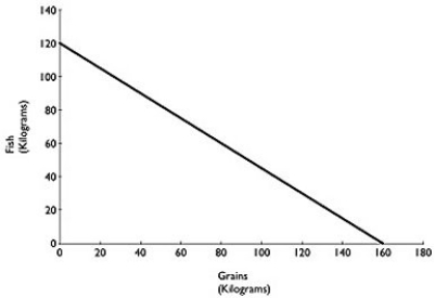 Figure 2.2   Figure 2.2 above shows the production possibilities frontier for Atikamekw Cree (ca.1600) with a historical tradition of fishing and farming.Assume they produce two goods: fish and grains. Alt text for Figure 2.2: In figure 2.2, a graph compares production of grains and fish. Long description for Figure 2.2: The x-axis is labelled, grains in kilograms, and the y-axis is labelled, fish in kilograms.The x-axis is marked from 0 to 180, in increments of 20.The y-axis is marked from 0 to 140, in increments of 20.A line slopes down from the point 0, 120 to the point 160, 0. -Refer to Figure 2.2.What is the opportunity cost of one kilogram of Fish? A)    kilogram of grain B)    kilograms of grain C) 1.6 kilograms of grain D) 16 kilograms of grain