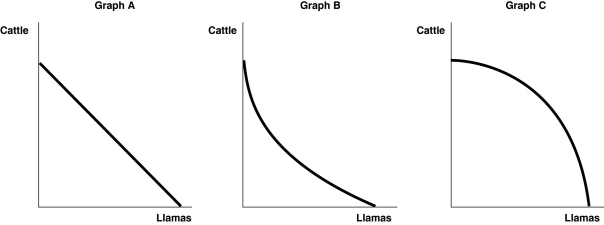 Figure 2.3   Alt text for Figure 2.3: In figure 2.3, 3 graphs, A, B and C comparing production of cattle and llamas. Long description for Figure 2.3: Graph A: the x-axis is labelled, llamas, and y-axis is labelled, cattle.A line slopes down from the top left corner of the quadrant, near the top of the y-axis to the bottom right corner, near the end of the x-axis.Graph B: the x-axis is labelled, llamas, and y-axis is labelled, cattle.A convex curve begins in the top left corner, near the top of the y-axis and ends in the bottom right corner, near the end of the x-axis.Graph C: the x-axis is labelled, llamas, and y-axis is labelled, cattle.A concave curve begins in the top left corner near the top of the y-axis, and ends in the bottom right corner, near the end of the x-axis. -Refer to Figure 2.3.Sergio Vignetto raises cattle and llamas on his land.Half the land is more suitable for raising cattle and half the land is better suited for raising llamas.Which of the graphs in Figure 2.3 represent his production possibilities frontier? A) Graph A B) Graph B C) Graph C D) either Graph A or Graph C E) either Graph B or Graph C