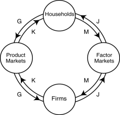Figure 2.22   Alt text for Figure 2.22: In figure 2.22, a circular flow diagram. Long description for Figure 2.22: 4 circles arranged in a circle, labelled as follows, clockwise from the top center: Households, Factor Markets, Firms, and Product Markets.All these circles are connected by arrows J, G K and M, as follows: Arrow M: Households to Factor Markets Arrow J: Factor Markets to Households Arrow M: Factor Markets to Firms Arrow J: Firms to Factor Markets Arrow K: Firms to Product Markets Arrow G: Product Markets to Firms Arrow K: Product Markets to Households Arrow G: Households to Product Markets -Refer to Figure 2.22.Which two arrows in the diagram depict the following transaction? Lizzie Haxem hires College Pro Painters, a painting company, to paint her home. A) J and M B) K and G C) K and M D) J and G
