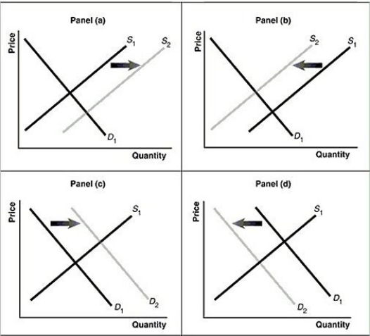 Figure 3.13   Alt text for Figure 3.13a: In figure 3.13a, a graph of intersecting demand and supply curves represents a rising supply of bicycle helmets. Long description for Figure 3.13a: The x-axis is labelled, Quantity and the y-axis is labelled, as Price.Curve D1 is a straight line which slopes down from the top left corner to the bottom right corner.Curve S1 is a straight line which slopes up from the bottom left to the top right.The point of intersection is at the midpoints of both lines.Curve S2 is a straight line, parallel to curve S1, but plotted to the right.A right pointing arrow indicates the change from S1 to S2. Alt text for Figure 3.13b: In figure 3.13b, a graph of intersecting demand and supply curves represents a falling supply of bicycle helmets. Long description for Figure 3.13b: The x-axis is labelled, Quantity and the y-axis is labelled, as Price.Curve D1 is a straight line which slopes down from the top left corner to the bottom right corner.Curve S1 is a straight line which slopes up from the bottom left to the top right.The point of intersection is at the midpoints of both lines.Curve S2 is a straight line, parallel to curve S1, but plotted to the left.A left pointing arrow indicates the change from S1 to S2. Alt text for Figure 3.13c: In figure 3.13c, a graph of intersecting demand and supply curves represents a rising demand for bicycle helmets. Long description for Figure 3.13c: The x-axis is labelled, Quantity and the y-axis is labelled, as Price.Curve D1 is a straight line which slopes down from the top left corner to the bottom right corner.Curve S1 is a straight line which slopes up from the bottom left to the top right.The point of intersection is at the midpoints of both lines.Curve D2 is a straight line, parallel to curve D1, but plotted to the right.A right pointing arrow indicates the change from D1 to D2. Alt text for Figure 3.13d: In figure 3.13d, a graph of intersecting demand and supply curves represents a falling demand for bicycle helmets. Long description for Figure 3.13d: The x-axis is labelled, Quantity and the y-axis is labelled, as Price.Curve D1 is a straight line which slopes down from the top left corner to the bottom right corner.Curve S1 is a straight line which slopes up from the bottom left to the top right.The point of intersection is at the midpoints of both lines.Curve D2 is a straight line, parallel to curve D1, but plotted to the left.A left pointing arrow indicates the change from D1 to D2. -Refer to Figure 3.13.Assume that the graphs in this figure represent the demand and supply curves for women's clothing.Which panel best describes what happens in this market when the wages of seamstresses rise? A) Panel (a)  B) Panel (b)  C) Panel (c)  D) Panel (d) 
