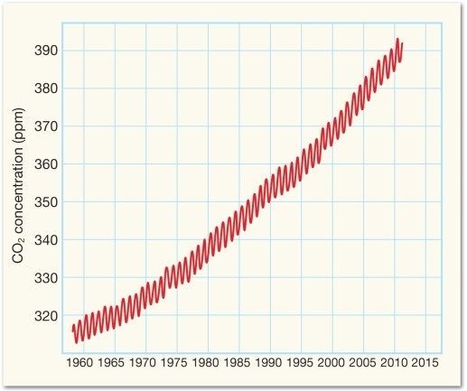 Consider the following diagram, and then answer the question below.    -According to current scientific consensus, what is the reason for the upward trend in overall CO<sub>2</sub> concentrations demonstrated in the graph above? A)  changes in Earth's atmosphere brought about by natural climate variation B)  large and increasingly frequent volcanic eruptions C)  rapidly increasing fossil fuel combustion and the resulting emissions D)  The causes are still unknown.
