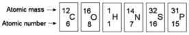 Refer to the following figure to answer the questions below.    -How many electrons will a single atom of sulfur with no charge and no bonds have in its valence shell? A)  6 B)  8 C)  16 D)  32
