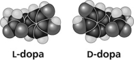 Use the figure to answer the question.   Thalidomide and L-dopa (see figure) are examples of pharmaceutical drugs that occur as enantiomers, or molecules that ________. A)  have identical three-dimensional shapes B)  are mirror images of one another C)  are mirror images of one another and have the same biological activity D)  are cis-trans isomers